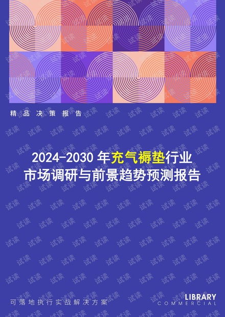 2024-2030年充氣褥墊行業(yè)市場(chǎng)調(diào)研及前景趨勢(shì)預(yù)測(cè)報(bào)告